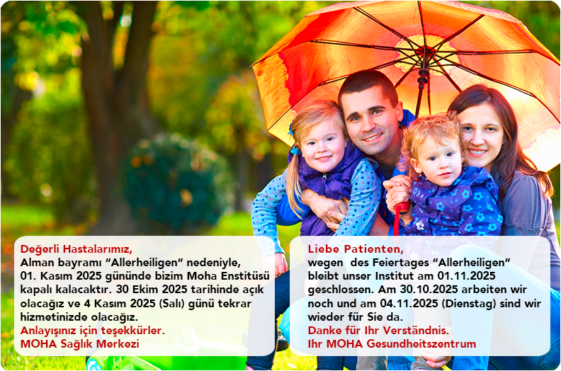 Moha Institut - Allerheiligen Feiertag 2025